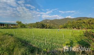 N/A Land for sale in Chiang Dao, Chiang Mai 