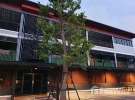 12 Schlafzimmer Haus zu verkaufen in Sattahip, Chon Buri, Na Chom Thian