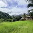  Land for sale in Ban Pong, Chiang Mai, Ban Pong, Hang Dong, Chiang Mai