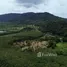  Land for sale in Phuket, Thep Krasattri, Thalang, Phuket