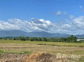 ขายที่ดิน ใน เชียงใหม่, ขี้เหล็ก, แม่ริม, เชียงใหม่