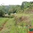  Terrain for sale in Rio Grande do Norte, Fernando De Noronha, Fernando De Noronha, Rio Grande do Norte