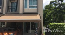 ยูนิตมือสองและให้เช่า