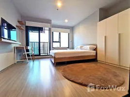 คอนโด 1 ห้องนอน ให้เช่า ในโครงการ ไลฟ์ ลาดพร้าว, จอมพล