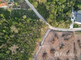 サムイ島 で売却中 土地区画, アントン, サムイ島