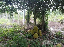 N/A Land for sale in Ban Laeng, Rayong Land For Sale in Rayong