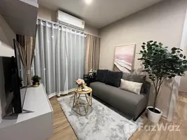 1 Habitación Departamento en alquiler en ARLO Sukhumvit 105 - Lasalle, Bang Na, Bang Na, Bangkok, Tailandia