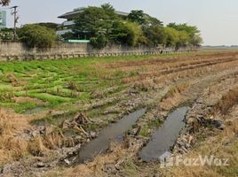  Grundstück zu verkaufen in Lam Luk Ka, Pathum Thani, Bueng Kham Phroi, Lam Luk Ka