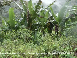  Terreno (Parcela) en venta en Cusco, Camanti, Quispicanchi, Cusco