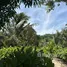  Land for sale in Taling Ngam, Surat Thani, Taling Ngam, Koh Samui