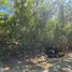  Grundstück zu verkaufen in Kuta, Lombok, Kuta