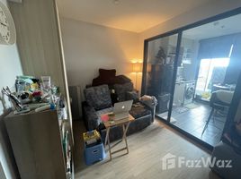 1 Schlafzimmer Wohnung zu vermieten im Ideo O2, Bang Na, Bang Na, Bangkok