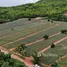  Grundstück zu verkaufen in Pak Nam Pran, Hua Hin, Pak Nam Pran, Pran Buri