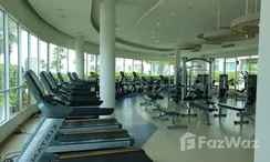 รูปถ่าย 3 of the Communal Gym at ศุภาลัย พรีมา ริวา