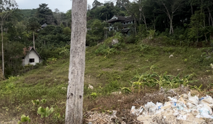 N/A Land for sale in Kamala, Phuket 