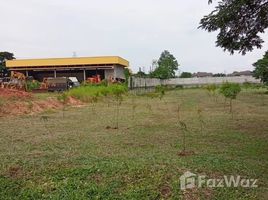 ขายที่ดิน ใน ท่าวังตาล, เชียงใหม่, ท่าวังตาล, สารภี, เชียงใหม่