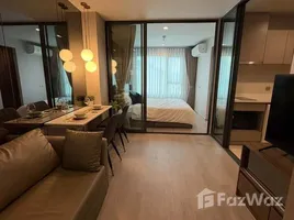 คอนโด 1 ห้องนอน ให้เช่า ในโครงการ ไลฟ์ ลาดพร้าว, จอมพล