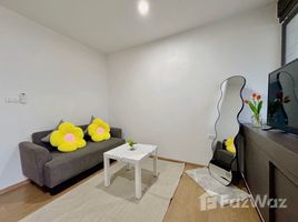 1 Bedroom Apartment for rent at Centrio, Wichit