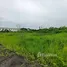  Земельный участок for sale in Rahaeng, Патумтани, Rahaeng