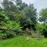  Land for sale in Kathu, Phuket, Kamala, Kathu