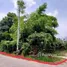  Land for sale in Umong, Lamphun, Umong, Mueang Lamphun