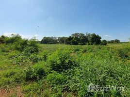  Land for sale in Thailand, Nong Mamong, Nong Mamong, Chai Nat, Thailand