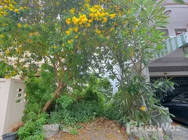  Land for sale in Talat Nuea, Phuket, Talat Nuea, Phuket Town, Phuket