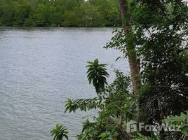  Land for sale in Thai Mueang, Phangnga, Lam Kaen, Thai Mueang