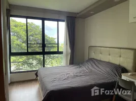 คอนโด สตูดิโอ ให้เช่า ในโครงการ เดอะ เทรเชอร์, หนองป่าครั่ง