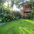 Maison 3 chambre à louer à Don Kaeo, Chiang Mai, Don Kaeo, Mae Rim, Chiang Mai, Thaïlande