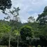  Land for sale in Koh Samui Surat Thani, Lipa Noi, Koh Samui