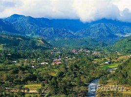 在CORREGIMIENTO PALMIRA出售的2 卧室 别墅, Palmira, Boquete, Chiriqui, 巴拿马