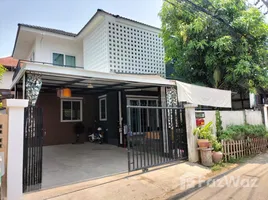 5 Schlafzimmer Haus zu verkaufen in Mueang Chiang Mai, Chiang Mai, Chang Moi