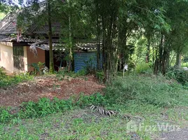 ขายที่ดิน ใน ป่าคลอก, ภูเก็ต, ป่าคลอก, ถลาง, ภูเก็ต