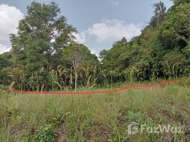  Grundstück zu verkaufen in Ko Pha-Ngan, Surat Thani, Ko Pha-Ngan, Ko Pha-Ngan, Surat Thani