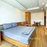 Studio House for rent in Man Thai, Da Nang, Man Thai, Son Tra