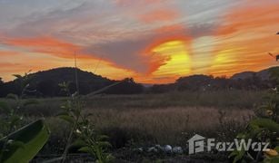 N/A Grundstück zu verkaufen in Si Bua Ban, Lamphun 