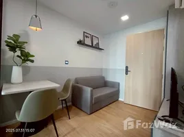 คอนโด 1 ห้องนอน ให้เช่า ในโครงการ แอทโมซ คาแนล รังสิต, บางพูน, เมืองปทุมธานี