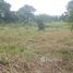  Land for sale in Ghana, Asuogyaman, Eastern, Ghana