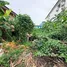  Terreno (Parcela) en venta en Nong Khang Phlu, Bangkok, Nong Khang Phlu, Nong Khaem, Bangkok