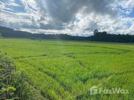  Terreno (Parcela) en venta en Nan, Nam Pua, Wiang Sa, Nan