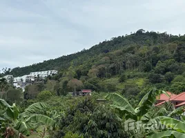  토지을(를) 코 사무이, 수랏 타니에서 판매합니다., 보 푸트, 코 사무이