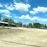  Land for sale in Thalang Phuket, Choeng Thale, Thalang, Phuket