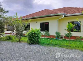 3 Schlafzimmer Haus zu verkaufen in San Sai, Chiang Mai, San Sai Luang, San Sai, Chiang Mai, Thailand