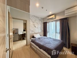 คอนโด 1 ห้องนอน ให้เช่า ในโครงการ วิซดอม ค็อนเน็ค สุขุมวิท, บางจาก, พระโขนง