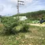 在FazWaz.cn出售的 土地, 帕洛, 塔朗, 普吉, 泰国