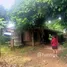  Land for sale in Malika, Chiang Mai, Malika, Mae Ai, Chiang Mai