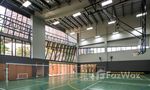 Basketball Court at M Jatujak