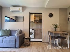 1 Bedroom Condo for rent at Plum Condo Sukhumvit 97.1, Bang Chak, Phra Khanong, Bangkok, Thailand