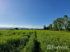 在清莱出售的 土地, Mae Tam, Phaya Mengrai, 清莱